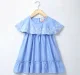 Gathered Embroidered Dress
