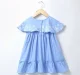 Gathered Embroidered Dress