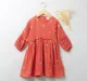 All Over Embroidery Dress