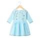 Embroidered Flared Dress