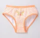 Pack Of 3 Girls Briefs