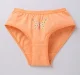 Pack Of 3 Girls Briefs
