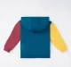 Boys Color Block Hoodie