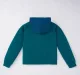 Boys Color Block Hoodie