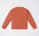 Boys Printed Sweatshirt
