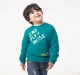 Boys Full Sleeves Printed Sweatshirt