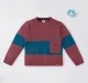 Boys Color-Blocking Sweatshirt
