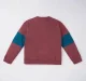 Boys Color-Blocking Sweatshirt