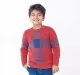 Boys Full Sleeves Crew Neck Sweater
