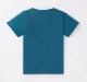 Boys Printed Tee Pack Of 2