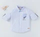 Boys Full Sleeves Striped Shirt