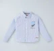 Boys Full Sleeves Striped Shirt