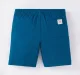 Boys Elasticated Waist Shorts