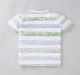 Boys Crew Neck Tee