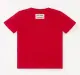 Boys Half Sleeves Cut And Sew Tee