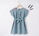 Girls Embroidered Dress