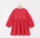 Girls Embroidered Dress