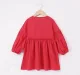 Girls Embroidered Dress
