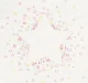 Girls Star Sugar Printed Tee