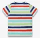 Boys Stripe Tshirt - Multicolor