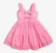 Girls Schiffli Dress - Pink