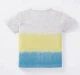 Boys Ombre Printed T-Shirt