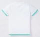 Boys Placement Printed T-Shirt
