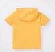 Boys Hooded T-Shirt With Chest Print