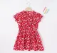 Smocked Printed Dress