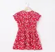 Smocked Printed Dress