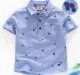 Printed Shirt - Blue