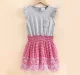 Girls Schifly Dress With Smocking - Grey  Red