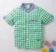 Boys Checked Shirt - Green