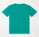 Boys Fashion Tshirt