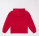 Boys Sweatshirt With Hoodie