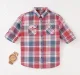 Boys Checks Shirt