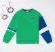 Boys Colour Block Sweatshirt